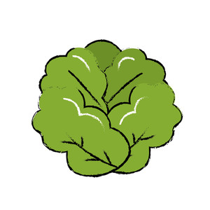 300x300 Happy Lettuce Royalty Free Stock Image