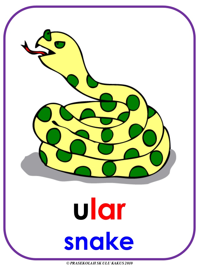 638x851 Snake Clipart Binatang