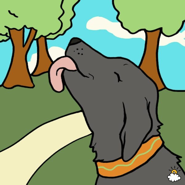 600x600 Dog Lick Clipart
