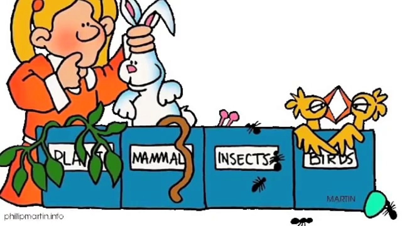 1280x720 Halloween Pumpkin Border Clipart