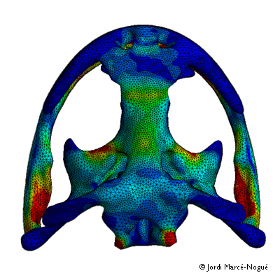 400x400 Course Clipart Life Science