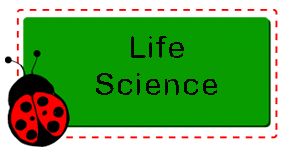 286x153 Life Science