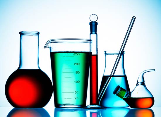 550x400 Life Science Grade 7 Lumen Christi Catholic School