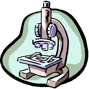 363x364 Texido, Laurie