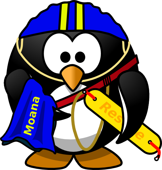 570x598 Penguin Lifeguard Clip Art