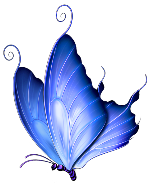 495x600 Animals For Gt Blue Butterfly Clip Art Silk Painting