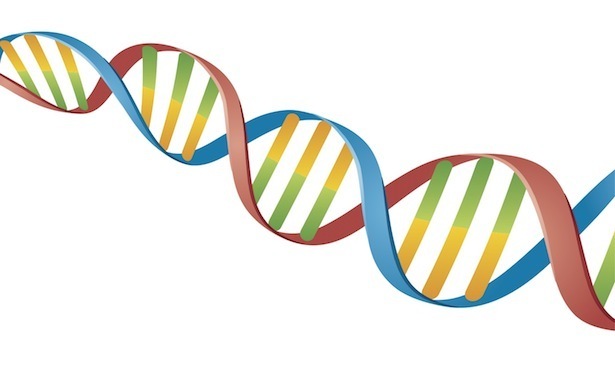 615x369 What Dna Actually Looks Like