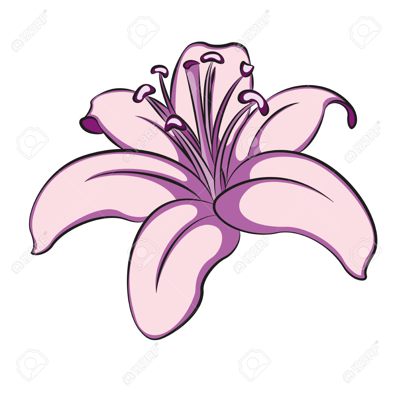 1300x1300 Lilies Flower Clipart, Explore Pictures