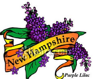 300x254 Lilac Flower Clip Art