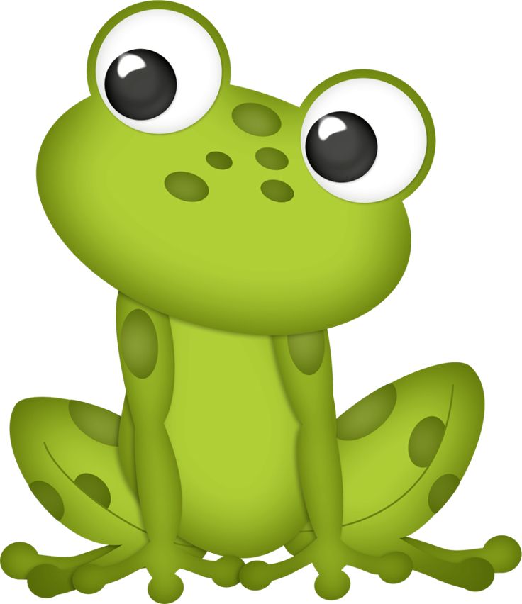 736x852 157 Best Frog Clip Art Images Pictures, Anniversary