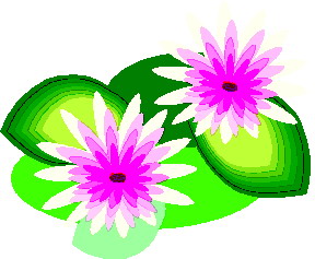 288x237 Frog On Lily Pad Clip Art Image