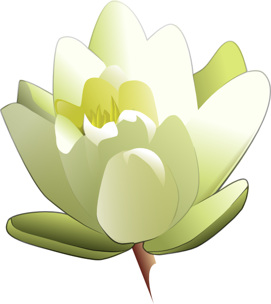 534x599 Leland Mcinnes Water Lily Clip Art
