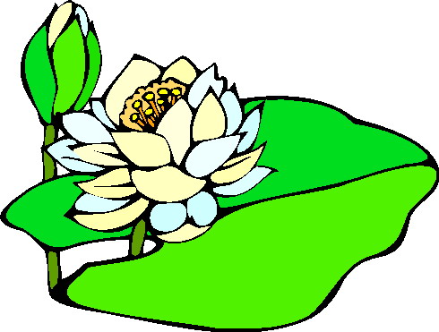 490x371 Lily Pad Clipart Aquatic Plant