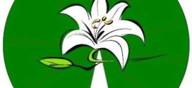 272x125 Lily Pad Cartoon Free Download Clip Art Free Clip Art