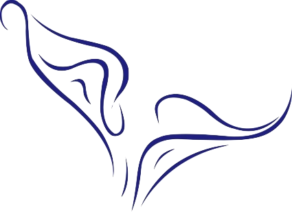 425x318 Image Of Calla Lily Clipart