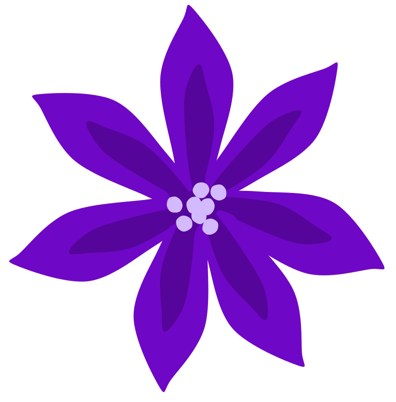 788x800 Lily Flower Clip Art Cliparts