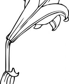 231x280 Lily Flower Pink Clip Art Vector Clip Art Free Vector Free Download