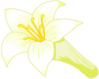 340x271 Lily Clip Art Clipart Panda