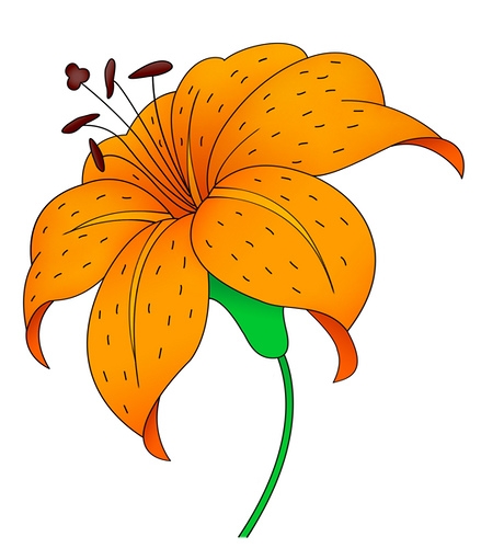 460x500 Lily Clipart Tiger Lily