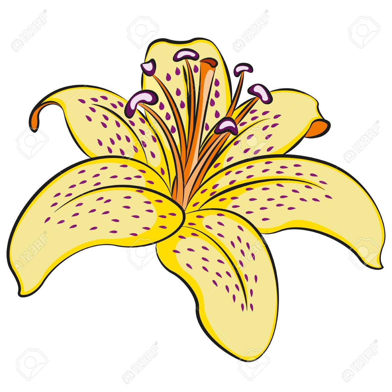 1300x1300 Yellow Flower Clipart Lilly
