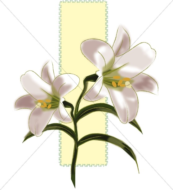 558x612 Lilies For Easter Decorations Church Flower Clipart