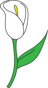 165x300 Lily Clipart Image