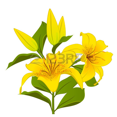 450x450 32,084 Lily Flower Cliparts, Stock Vector And Royalty Free Lily