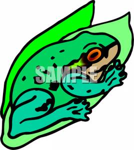 268x300 Colorful Cartoon Of A Frog Sitting In A Lily Pad