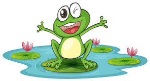 298x160 Lily Pad Clipart Baby Frog