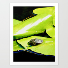 232x232 Lilypad Art Prints Society6