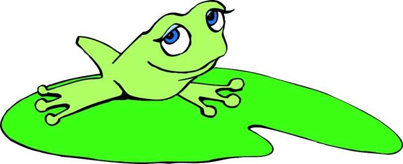 830x339 Best Frog On Lily Pad Clipart