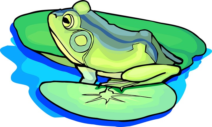 720x432 Free Frog Clipart