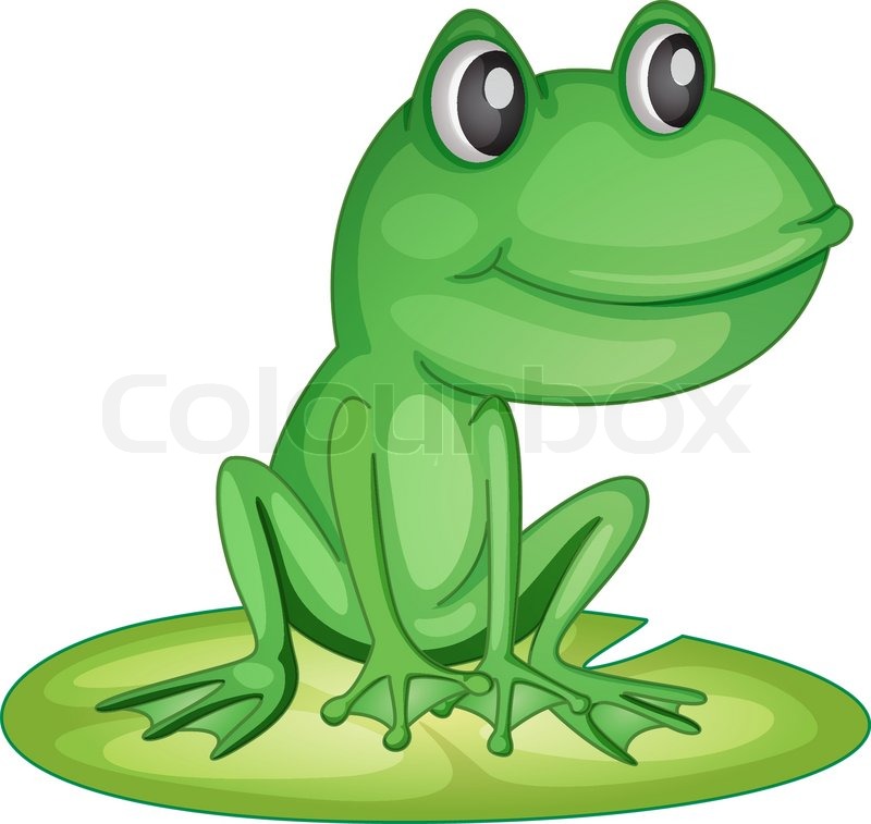 800x757 Frog On A Lily Pad Stock Vector Colourbox