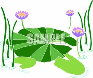 300x251 Purple Water Lilies Clipart