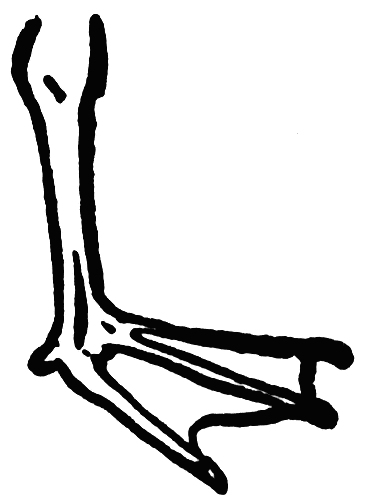 747x1024 Feet Clipart Limb