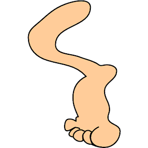 300x300 Legs Clipart Limb