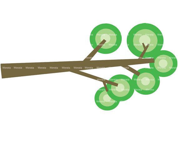 570x453 Branch Clipart Tree Limb