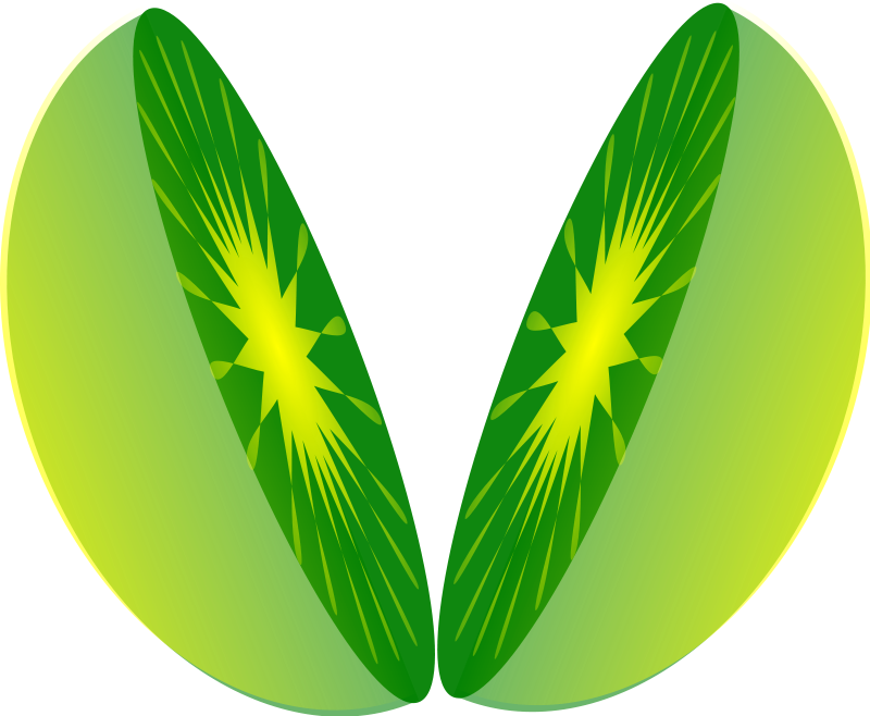 800x658 Lime Clip Art Download