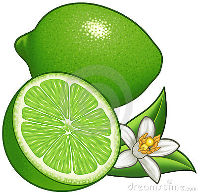 400x390 Lime Clipart