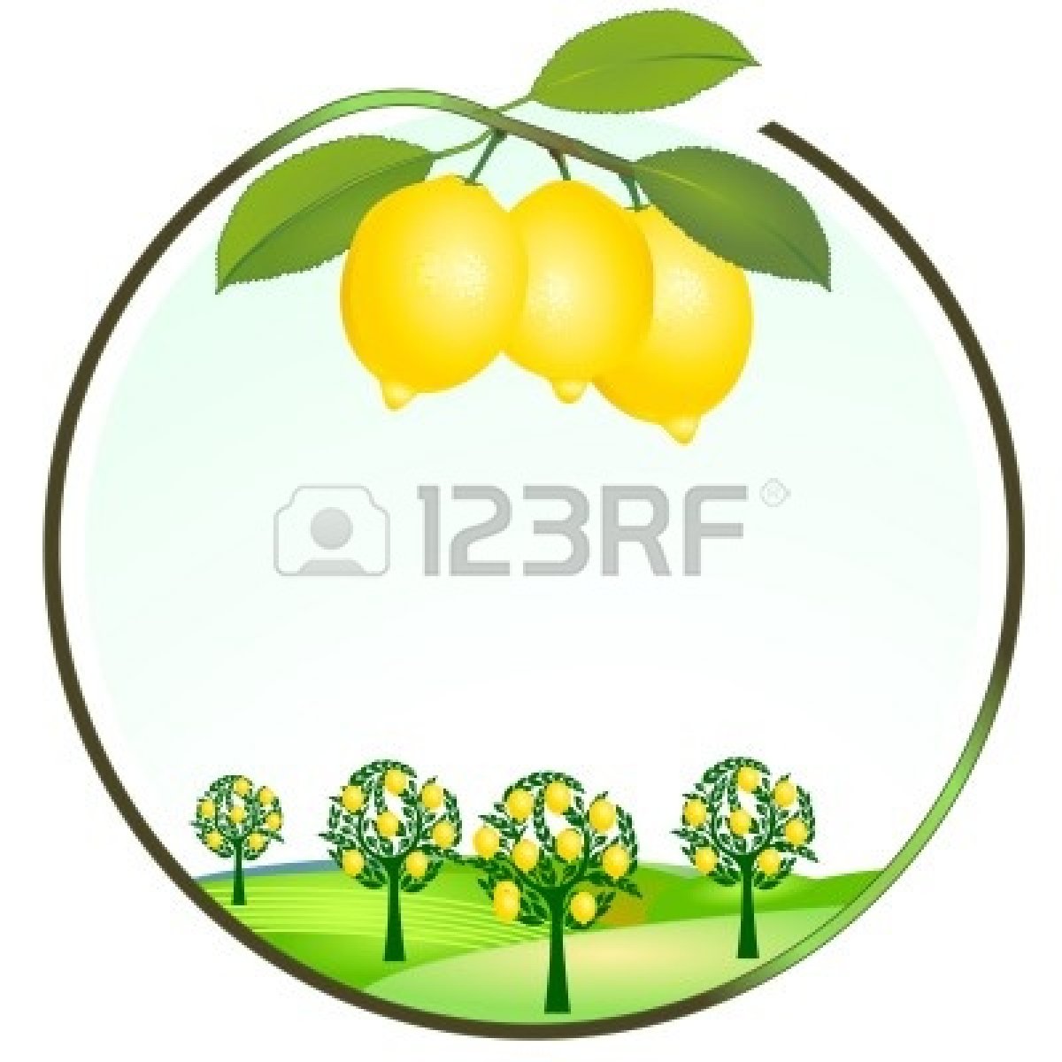 1200x1200 Lime Tree Clipart, Explore Pictures