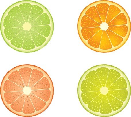 456x408 Slices Of Lime And Orange, Clip Art