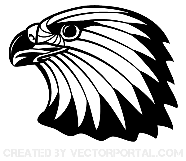 600x521 Free Image Of Eagle Head Clip Art Freevectors
