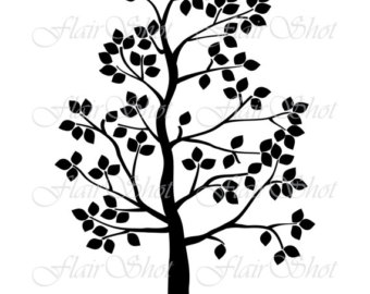 340x270 Tree Clip Art Etsy