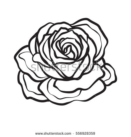 450x470 Drawn Rose Line Art