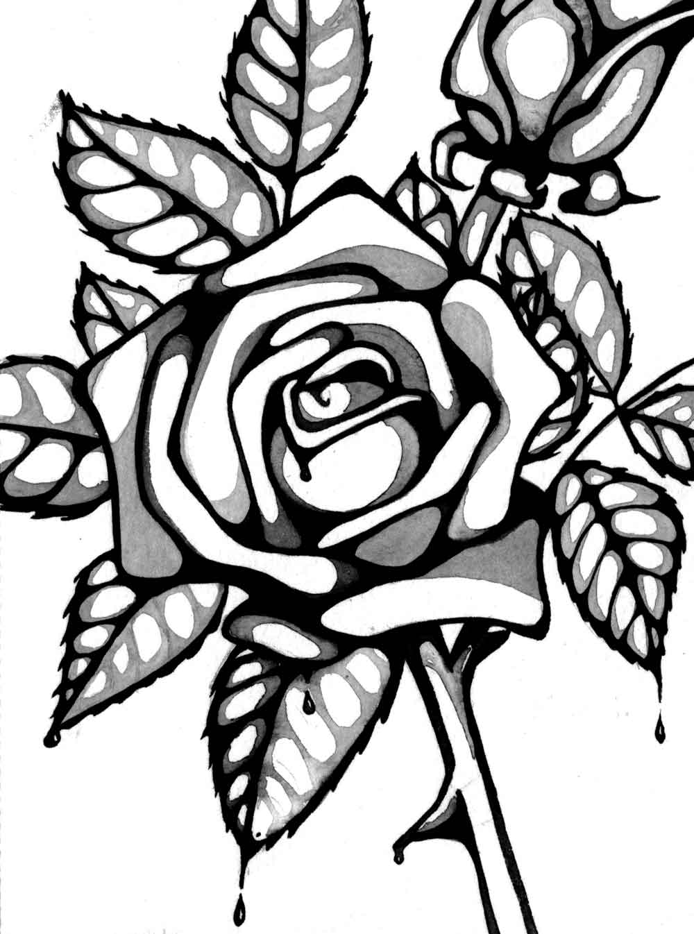 1000x1346 Line Drawing Clipart