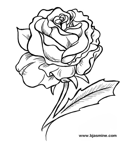 Line Drawing Of A Rose | Free download on ClipArtMag