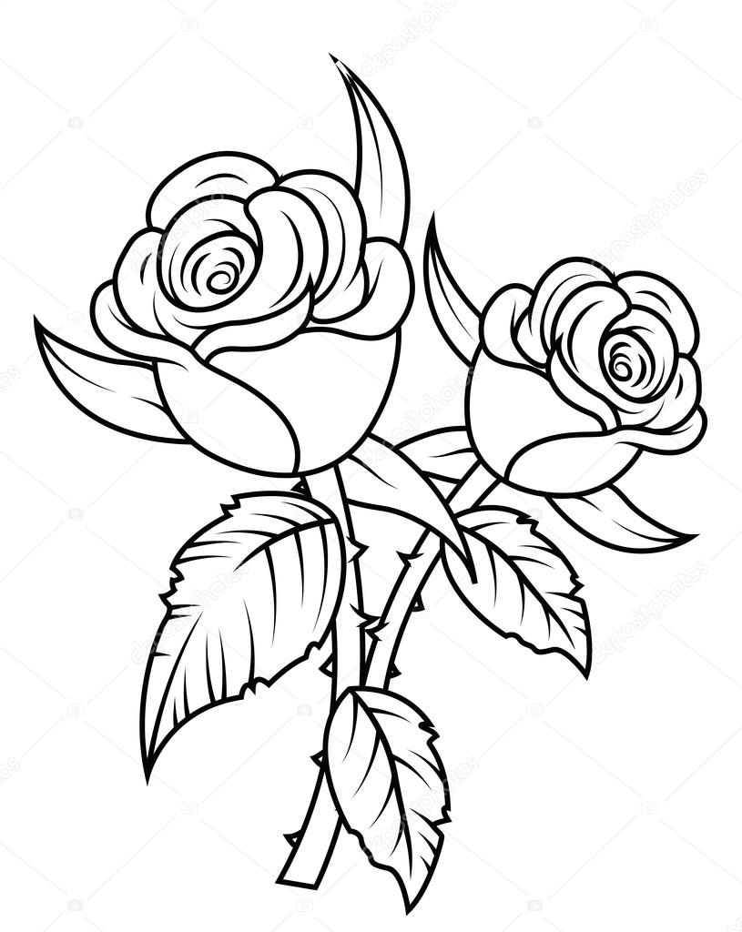 815x1024 Rose Flower Drawing Designs Black And White Line Drawing Of Rose
