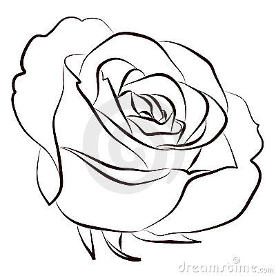 400x400 Rose Stock Photos 222,319 Rose Stock Images, Stock Photography