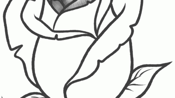 570x320 Simple Drawing Of A Rose Simple Line Drawing Of Flowers