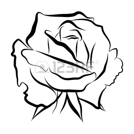 450x450 Sketch Line Drawing Of Rose Isolated Illustration On White